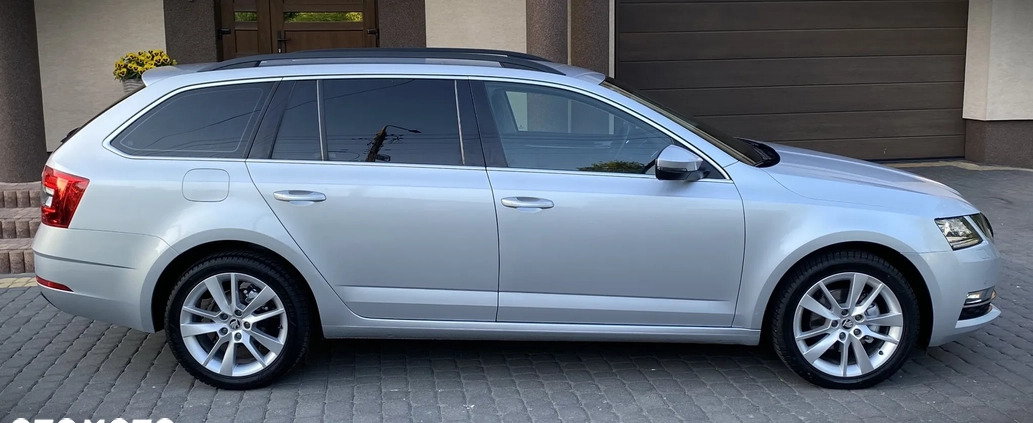 Skoda Octavia cena 73800 przebieg: 116700, rok produkcji 2019 z Świecie małe 667